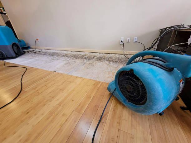 Professional Structural Drying technician working in Jupiter, FL